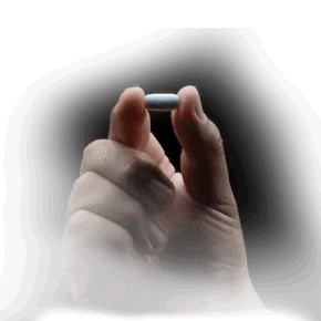 Bempedoic Acid