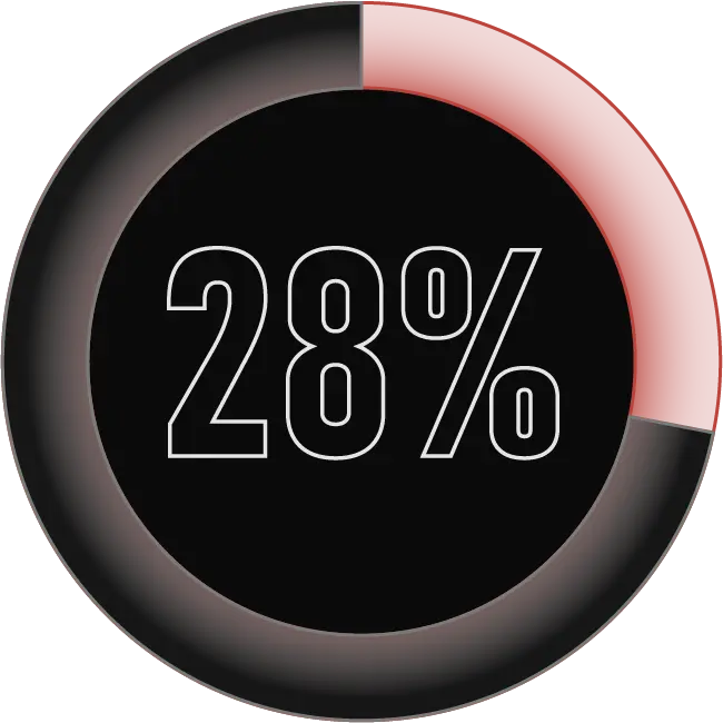 28 Percent